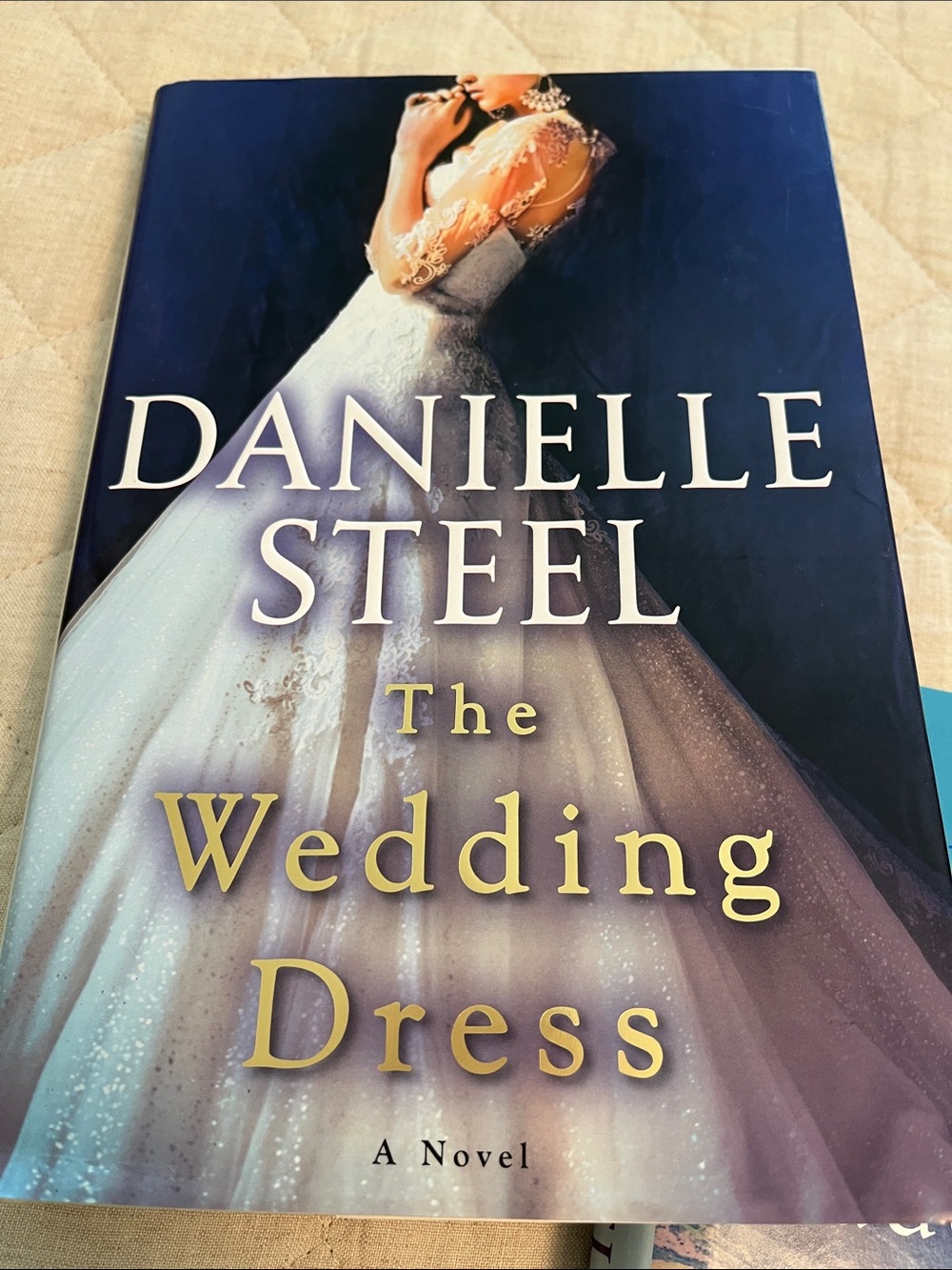Danielle Steel Bundle - Picture 4 of 9